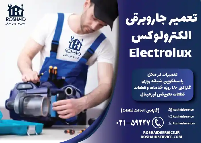 تعمیر جاروبرقی الکترولوکس Electrolux